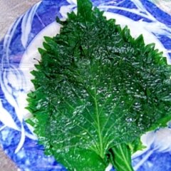 大葉の冷凍で塩漬け レシピ 作り方 By Ryuku55 楽天レシピ 大葉の冷凍で塩漬け レシピ 作り方 By Ryuku55 楽天レシピ